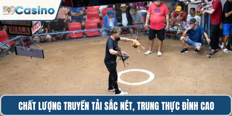 Chất lượng truyền tải sắc nét, trung thực đỉnh cao
