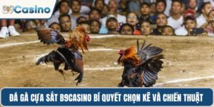 Đá gà cựa sắt