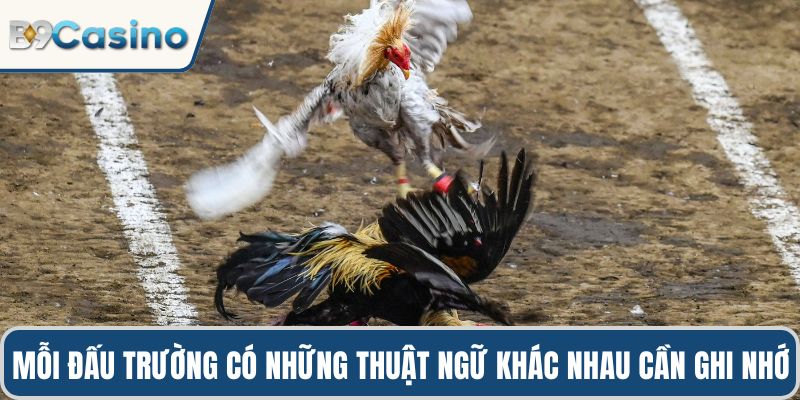 Mỗi đấu trường có những thuật ngữ khác nhau cần ghi nhớ