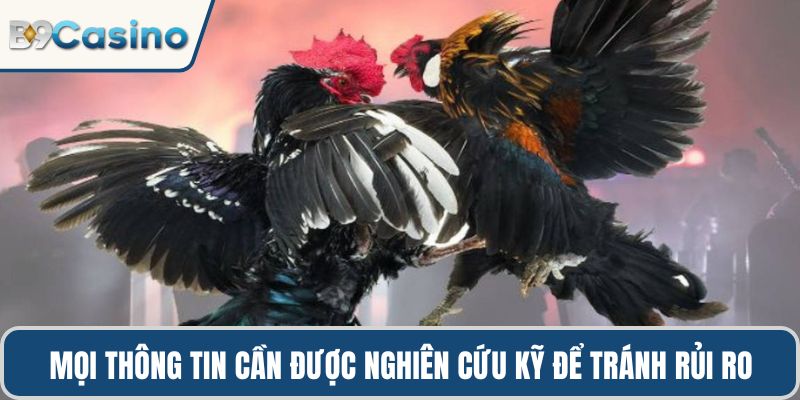 Mọi thông tin cần được nghiên cứu kỹ để tránh rủi ro