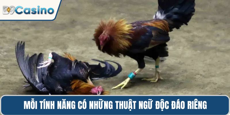 Mỗi tính năng có những thuật ngữ độc đáo riêng