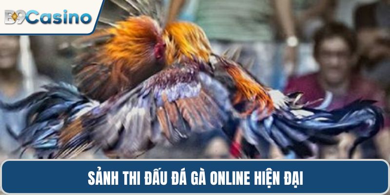 Sảnh thi đấu đá gà online hiện đại