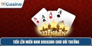 Tiến lên miền Nam